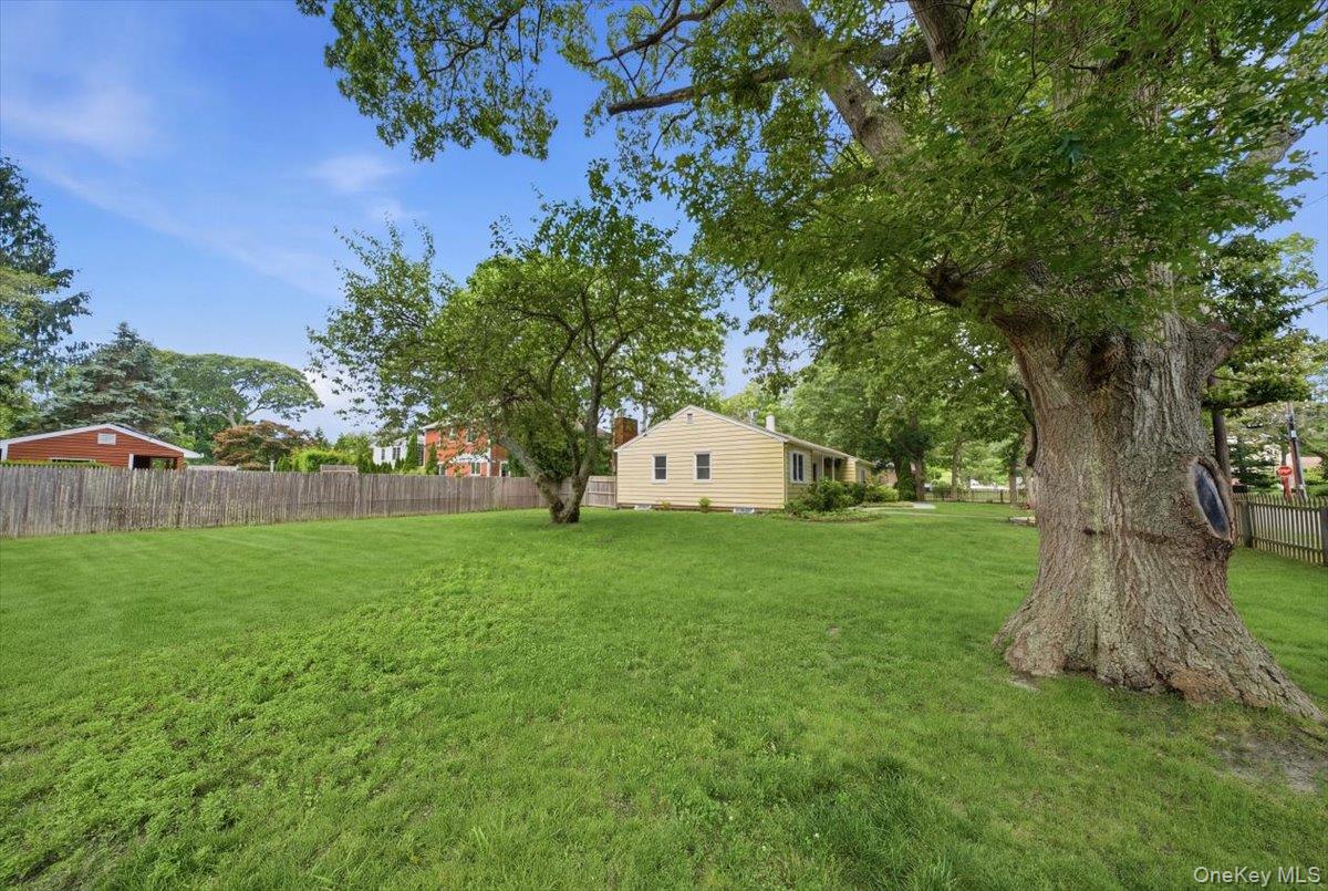 10 Graham Road – For Sale photo 5
