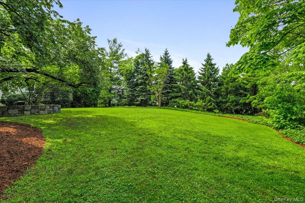 731 Forest Avenue – For Sale photo 9