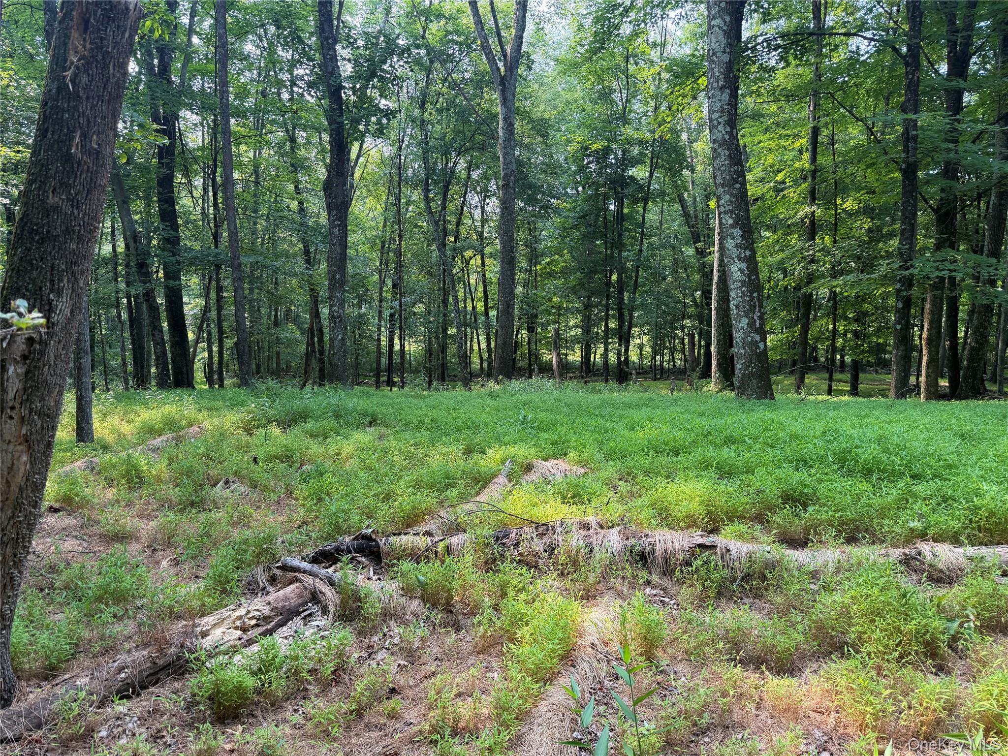 148 Quannacut Road – For Sale photo 6