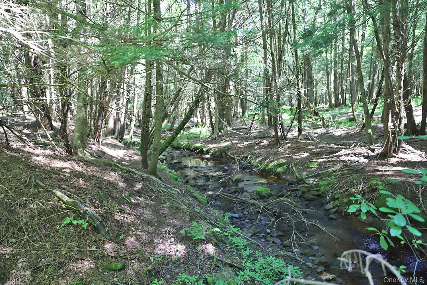 Lot 4B Hurd Road – For Sale photo 12