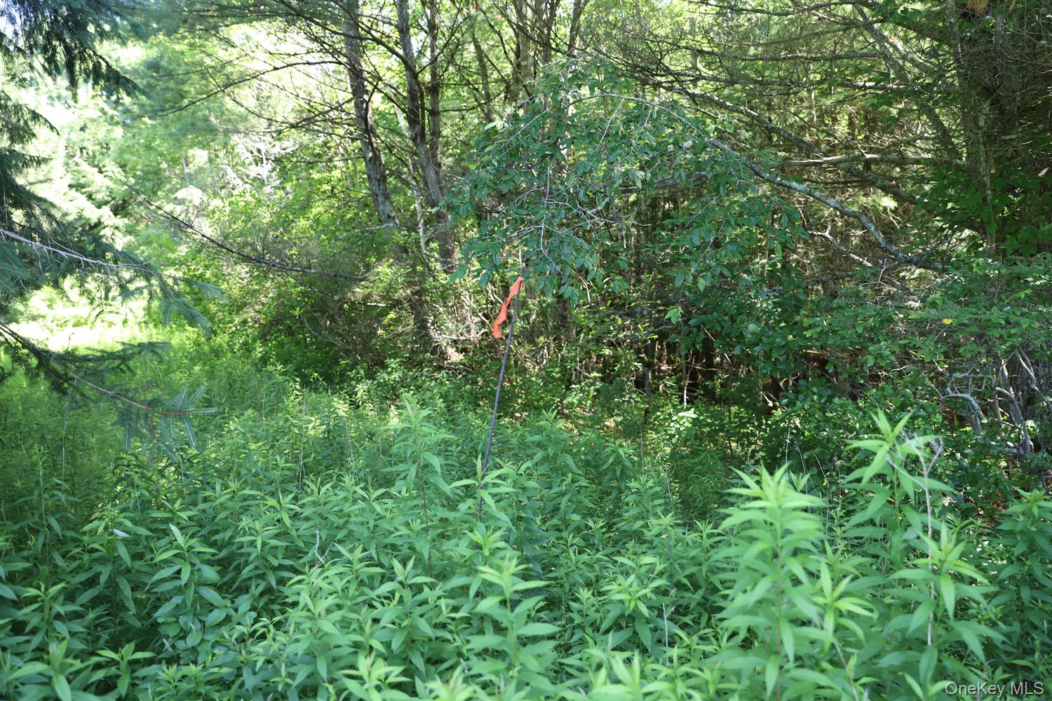 Lot 4B Hurd Road – For Sale photo 8