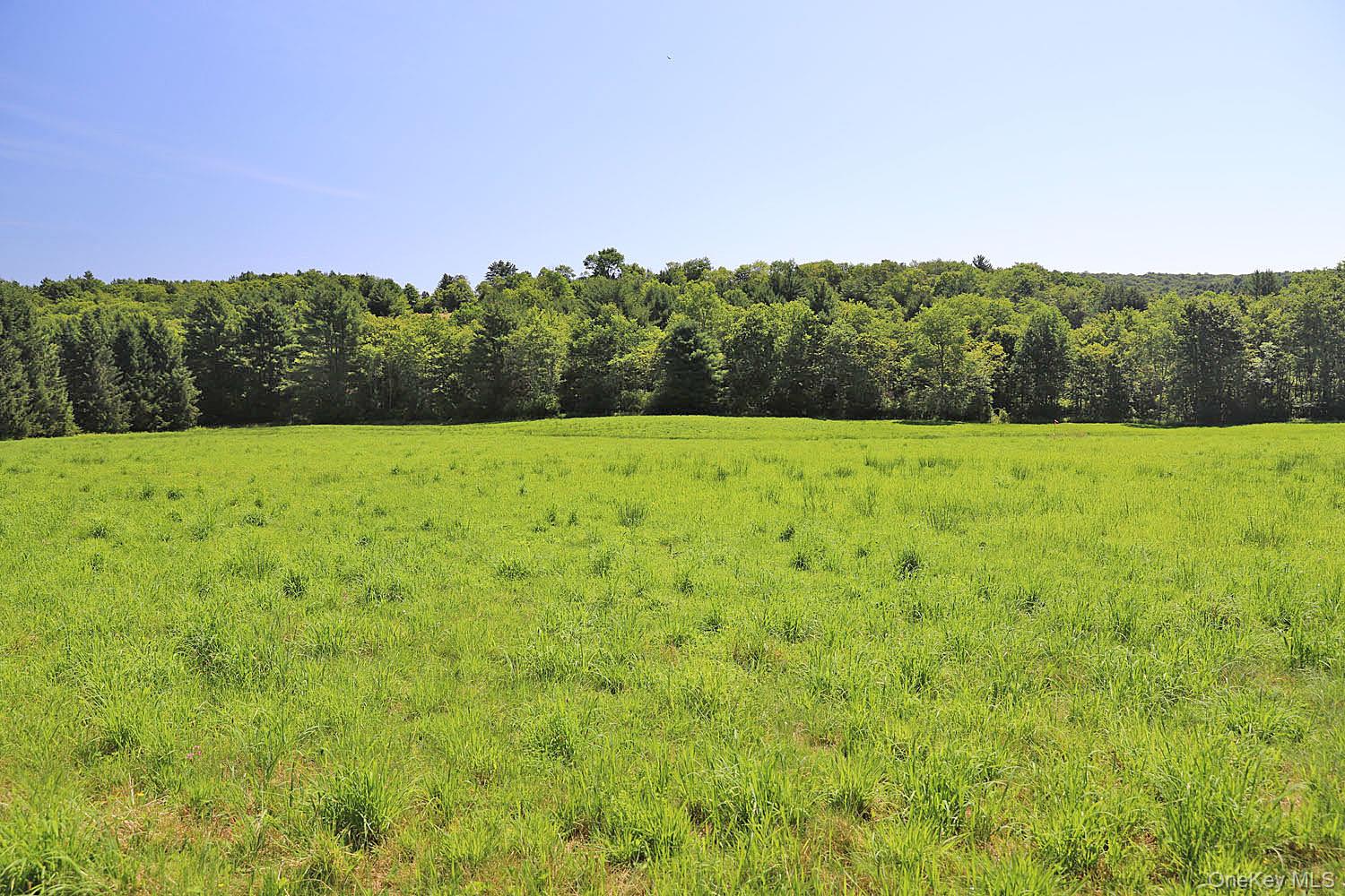 Lot 4B Hurd Road – For Sale photo 4