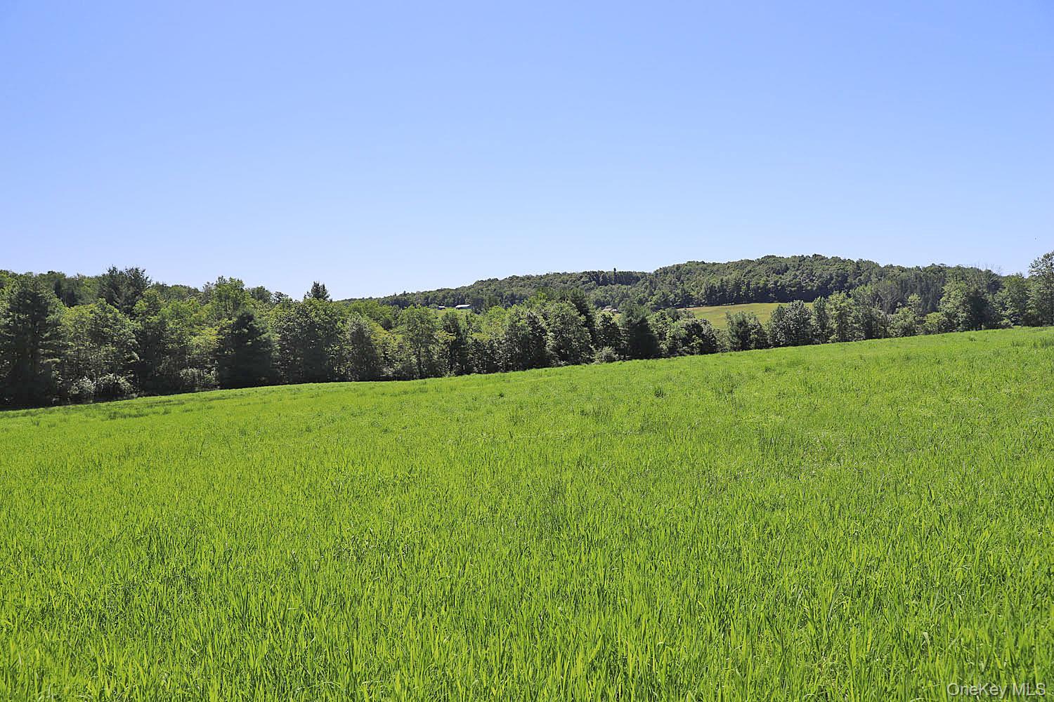 Lot 4B Hurd Road – For Sale photo 21