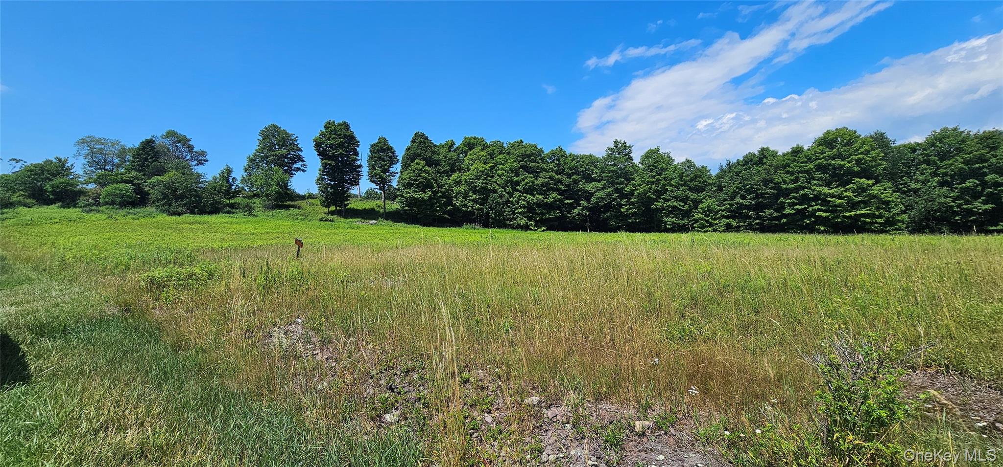 w/s Divine Corners Road – For Sale photo 3