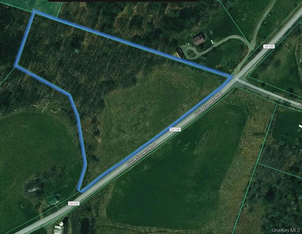 w/s Divine Corners Road – For Sale photo 6