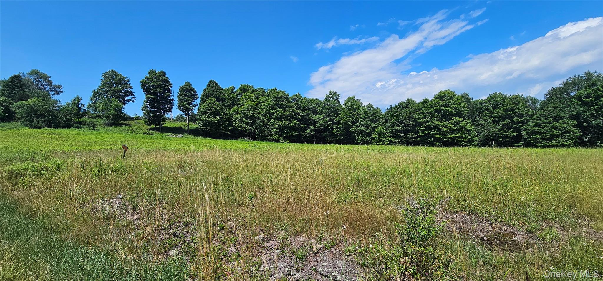 w/s Divine Corners Road – For Sale photo 2