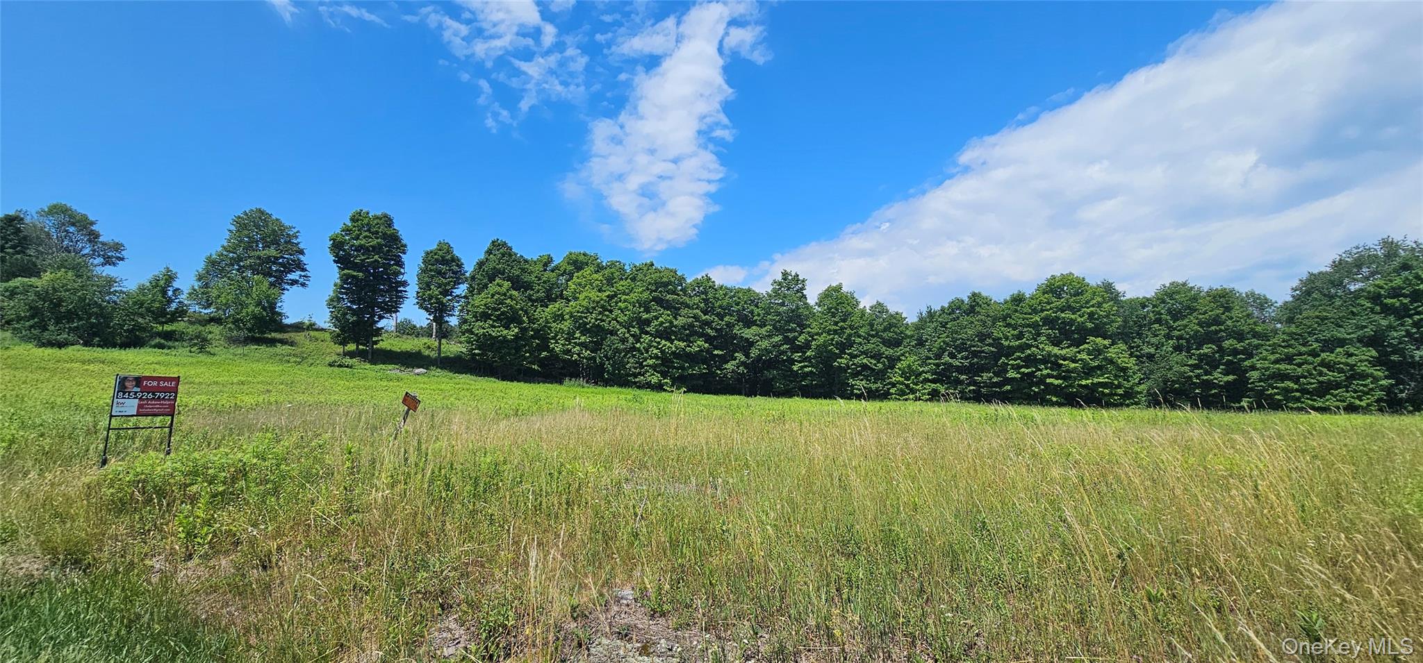 w/s Divine Corners Road – For Sale photo 5
