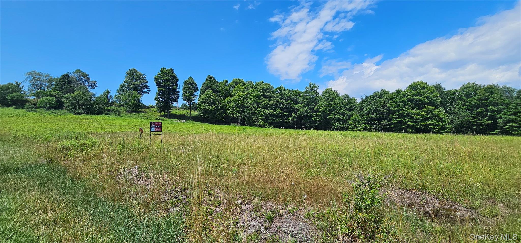 w/s Divine Corners Road – For Sale photo 4
