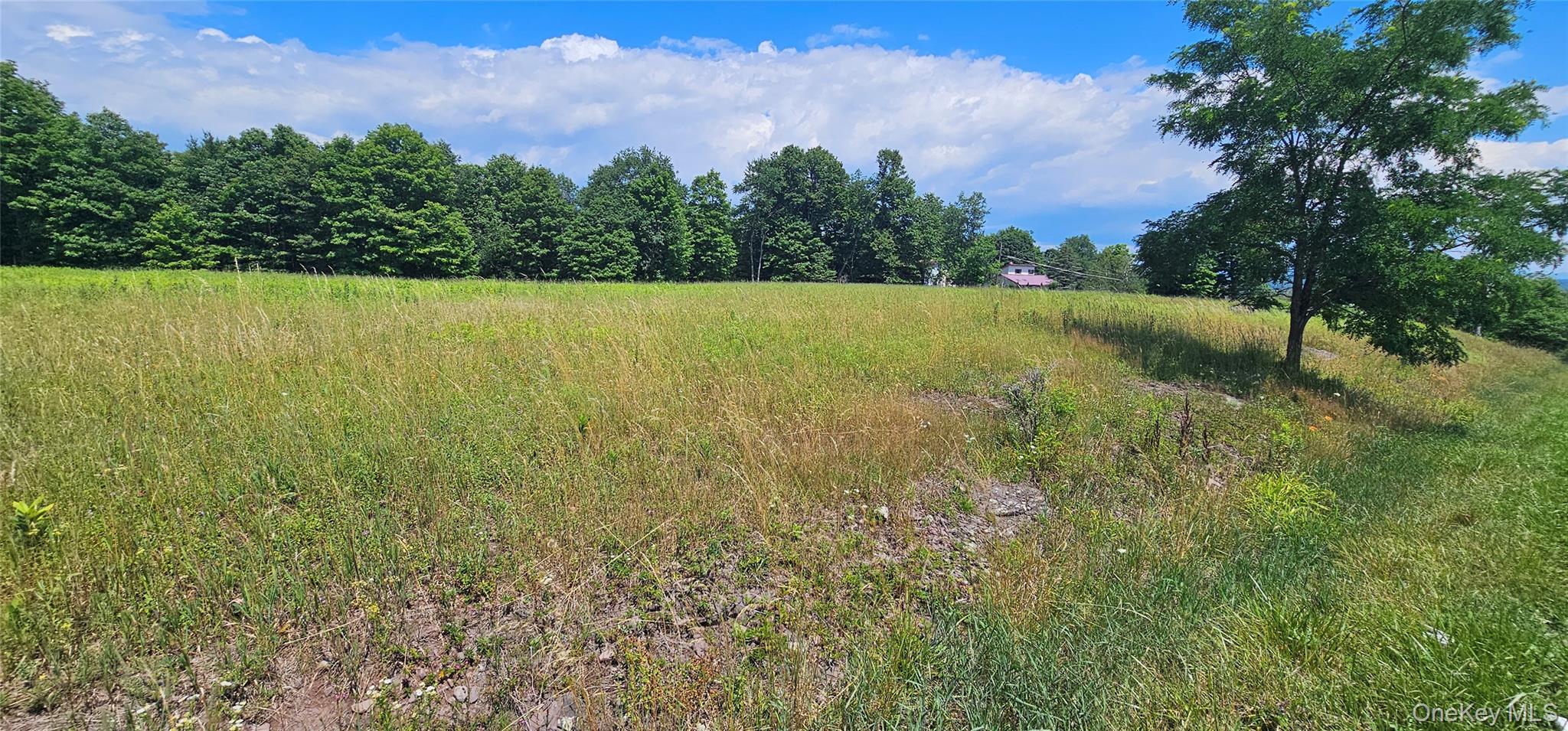w/s Divine Corners Road – For Sale
