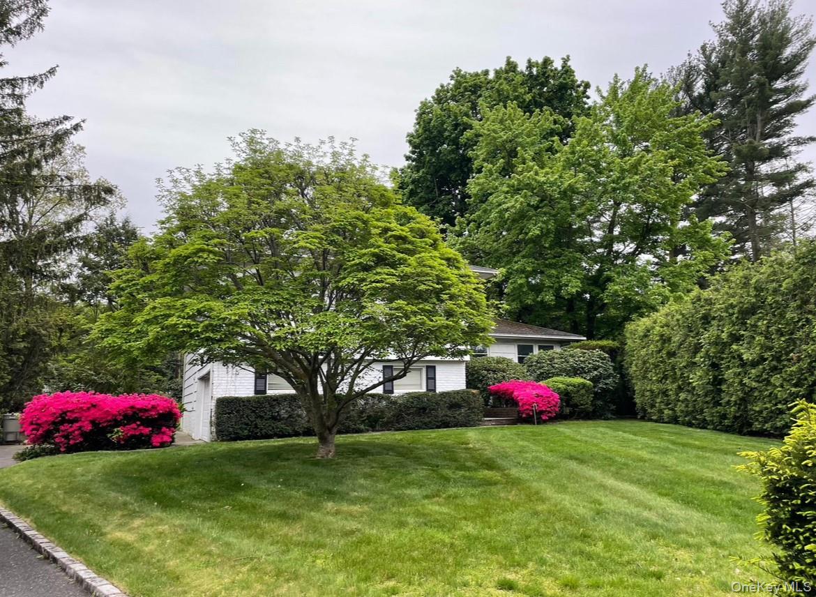6 Preston Court – For Sale