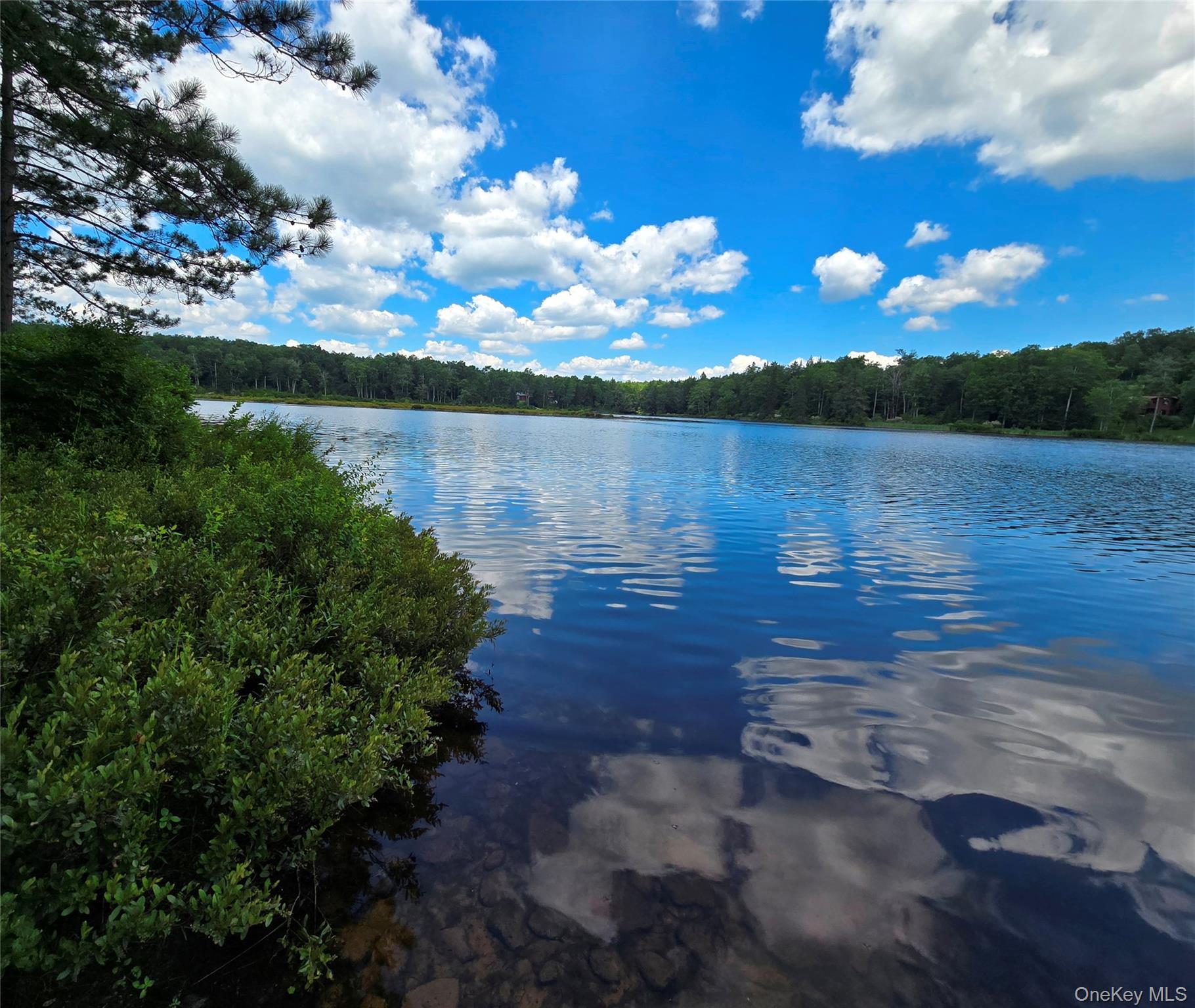 40-50 Spartan Hill Road – For Sale photo 2