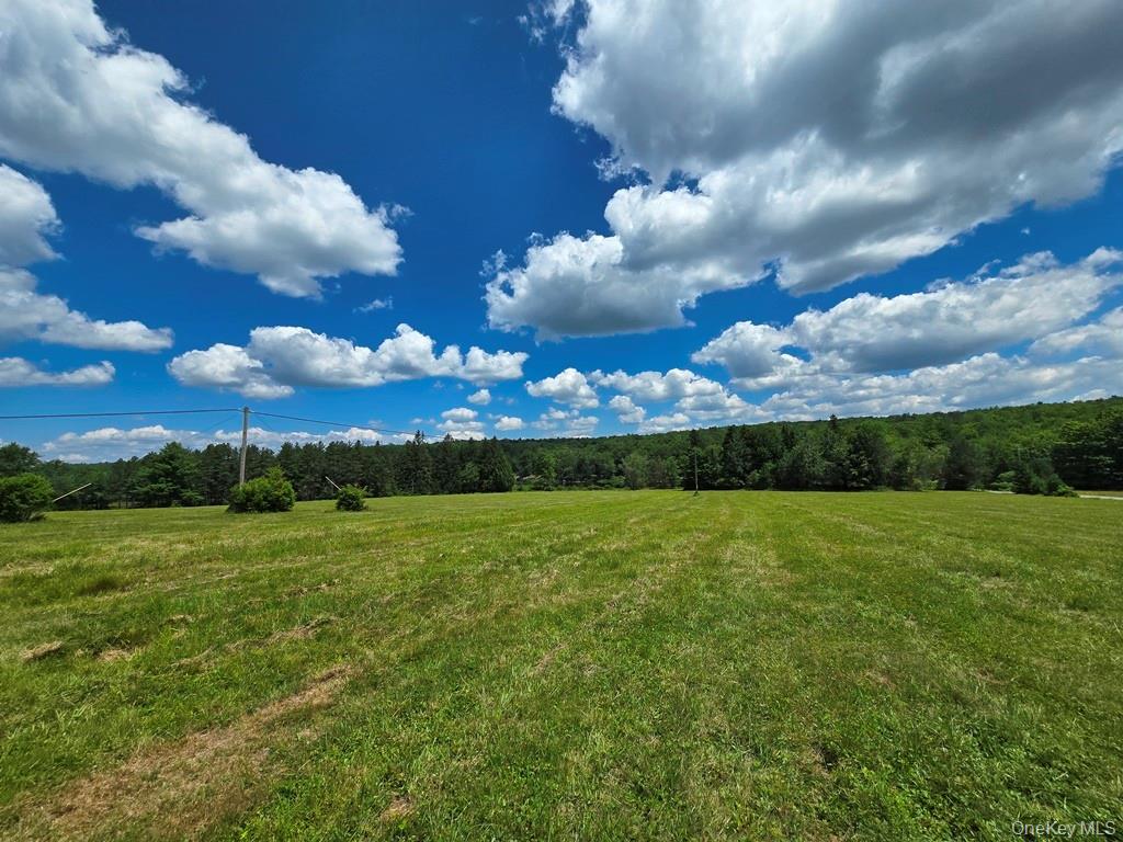 40-50 Spartan Hill Road – For Sale photo 30