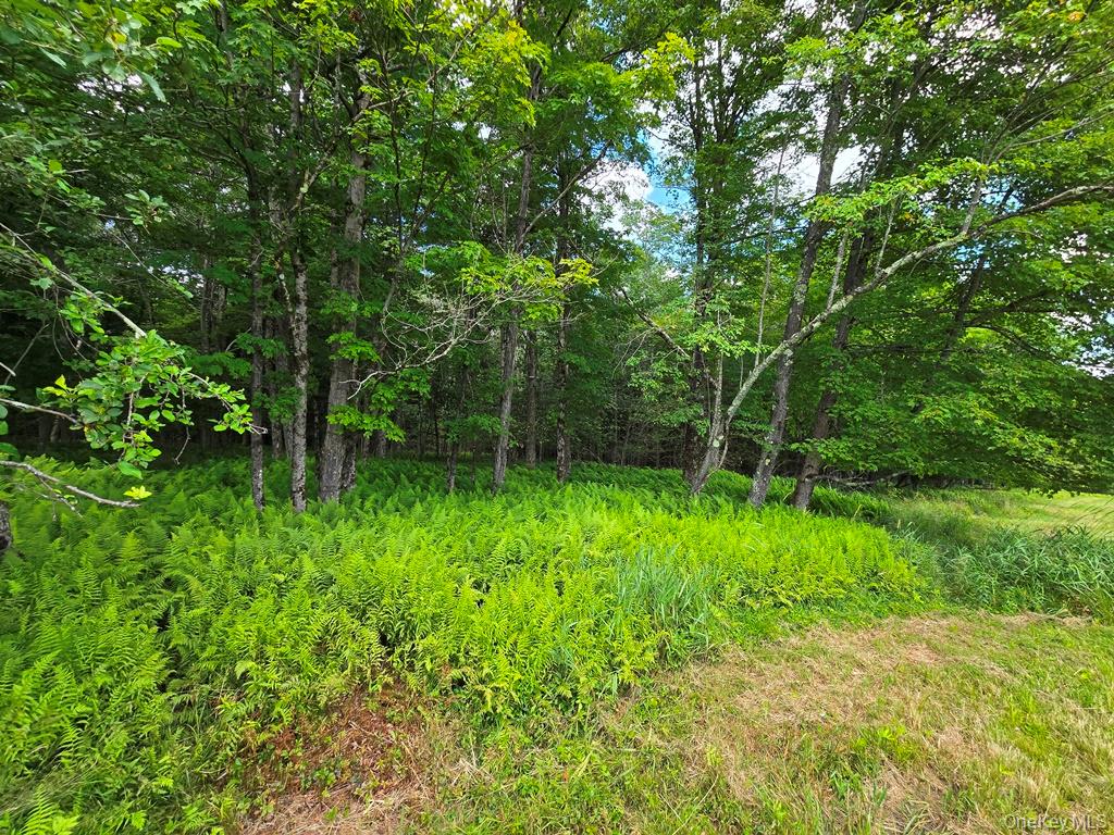 40-50 Spartan Hill Road – For Sale photo 33