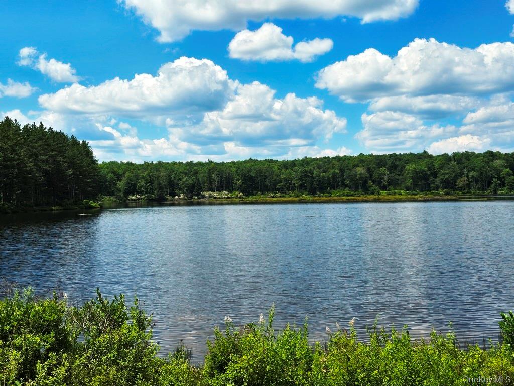 40-50 Spartan Hill Road – For Sale photo 46
