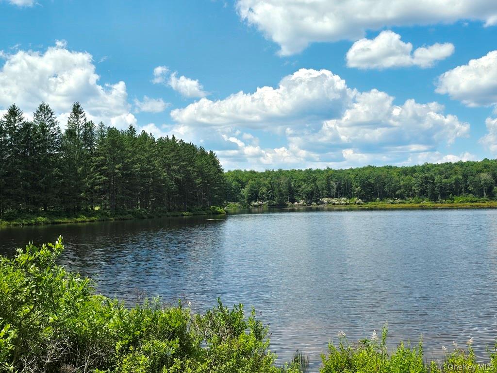 40-50 Spartan Hill Road – For Sale photo 47