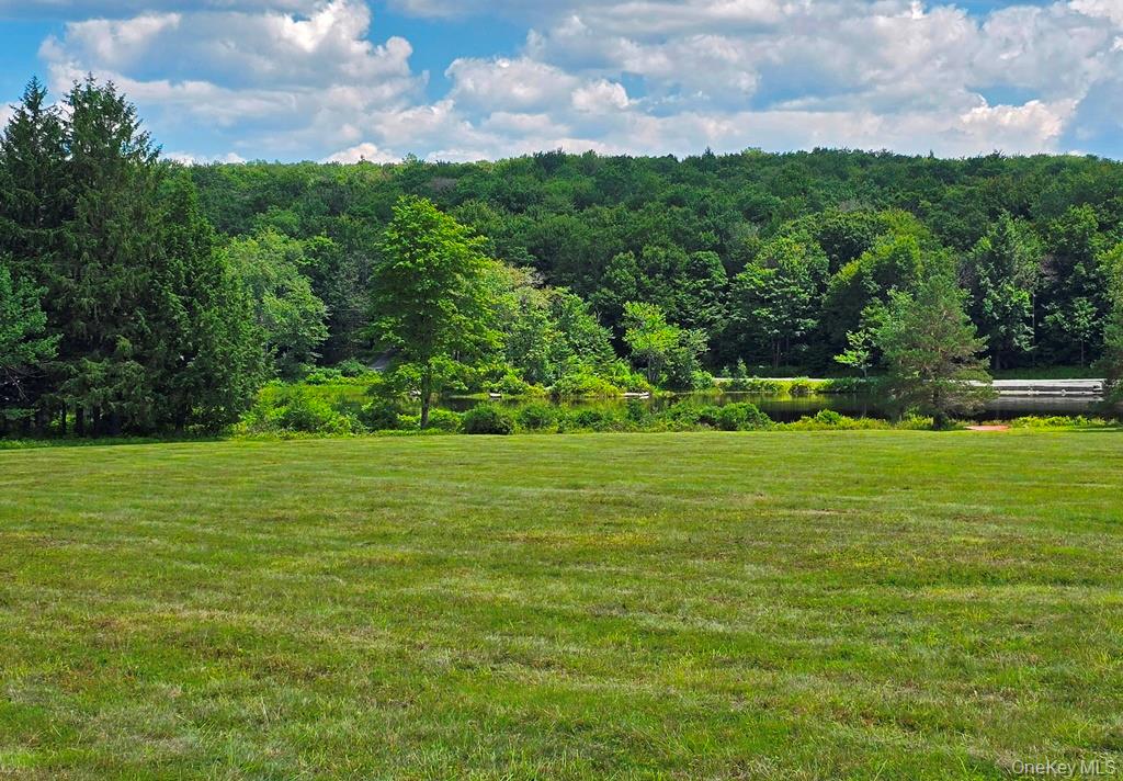 40-50 Spartan Hill Road – For Sale photo 31