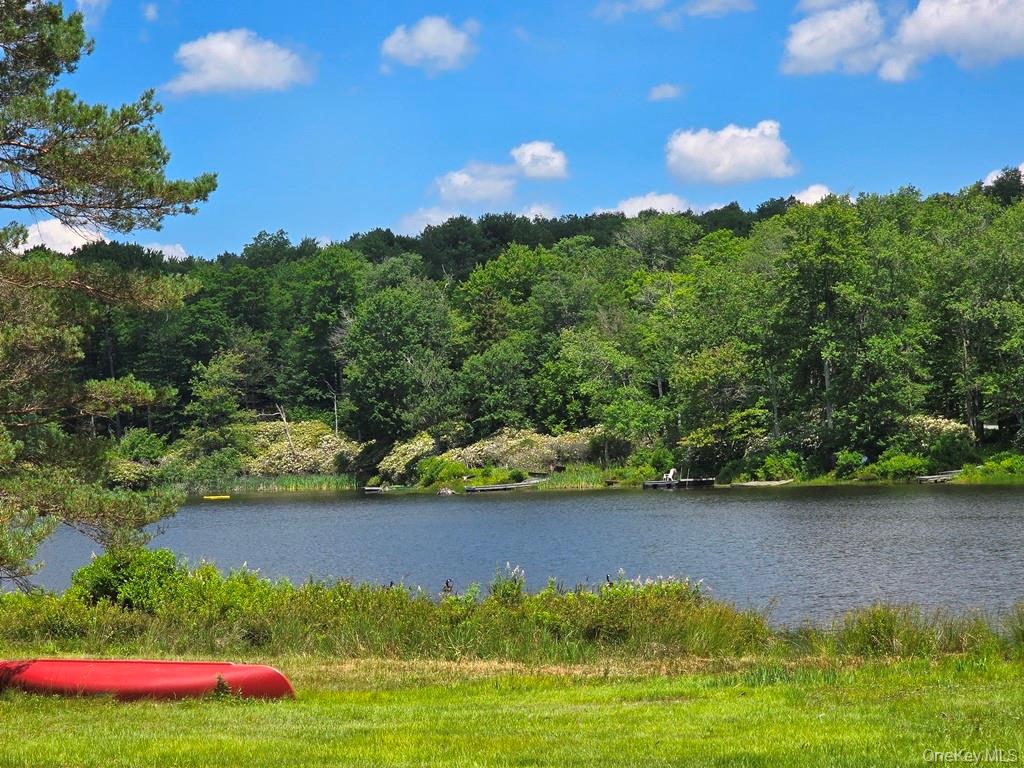 40-50 Spartan Hill Road – For Sale photo 45