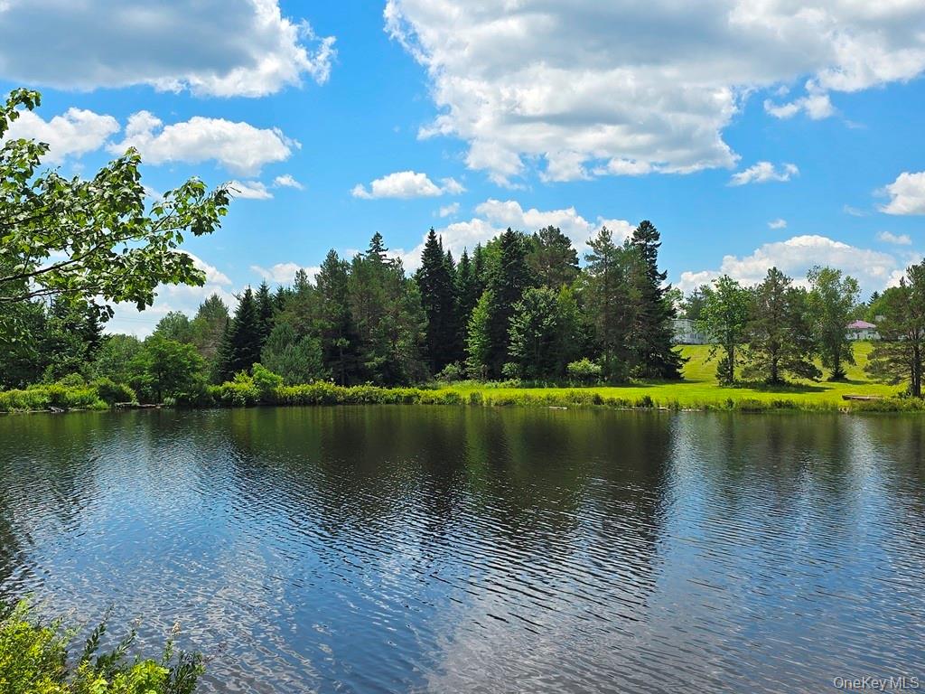 40-50 Spartan Hill Road – For Sale photo 49