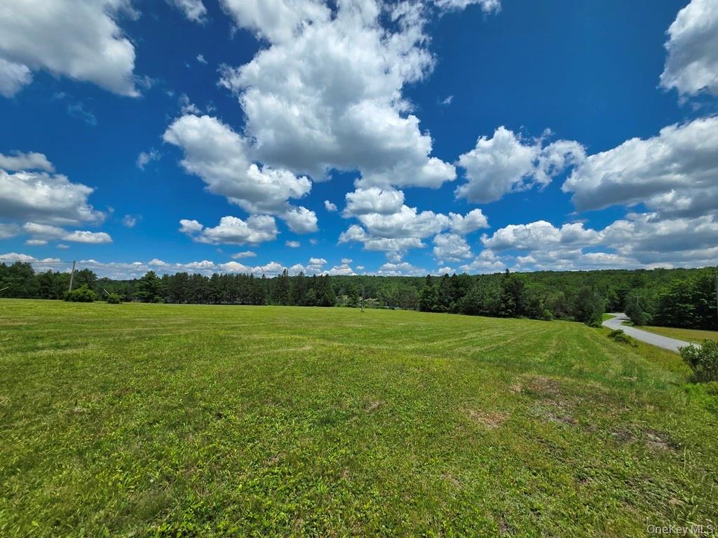40-50 Spartan Hill Road – For Sale photo 43