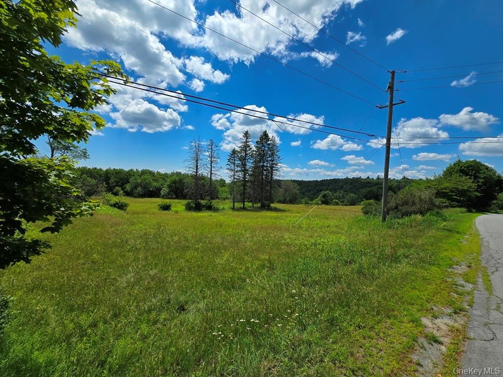 40-50 Spartan Hill Road – For Sale photo 29