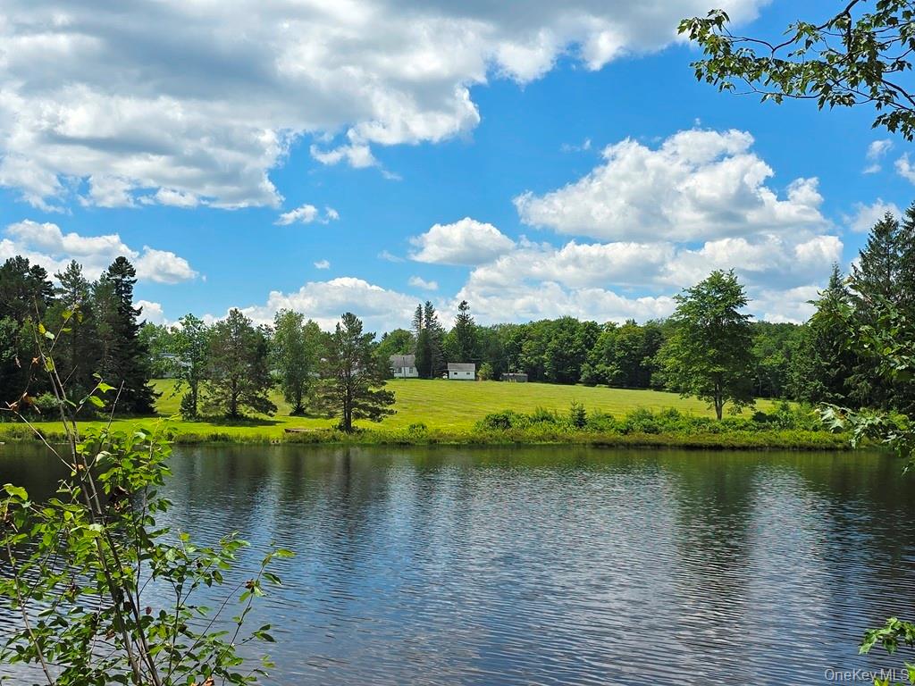 40-50 Spartan Hill Road – For Sale photo 48