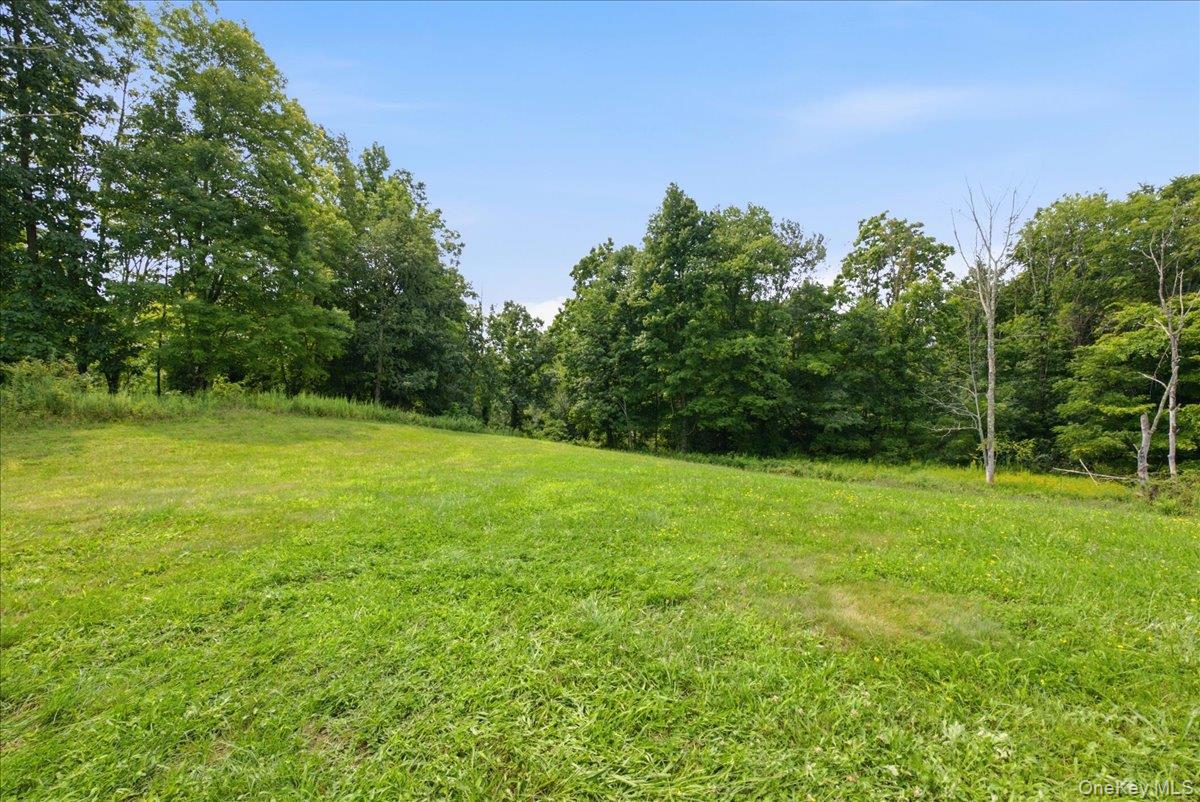 977 Mt Hope Road – For Sale photo 46