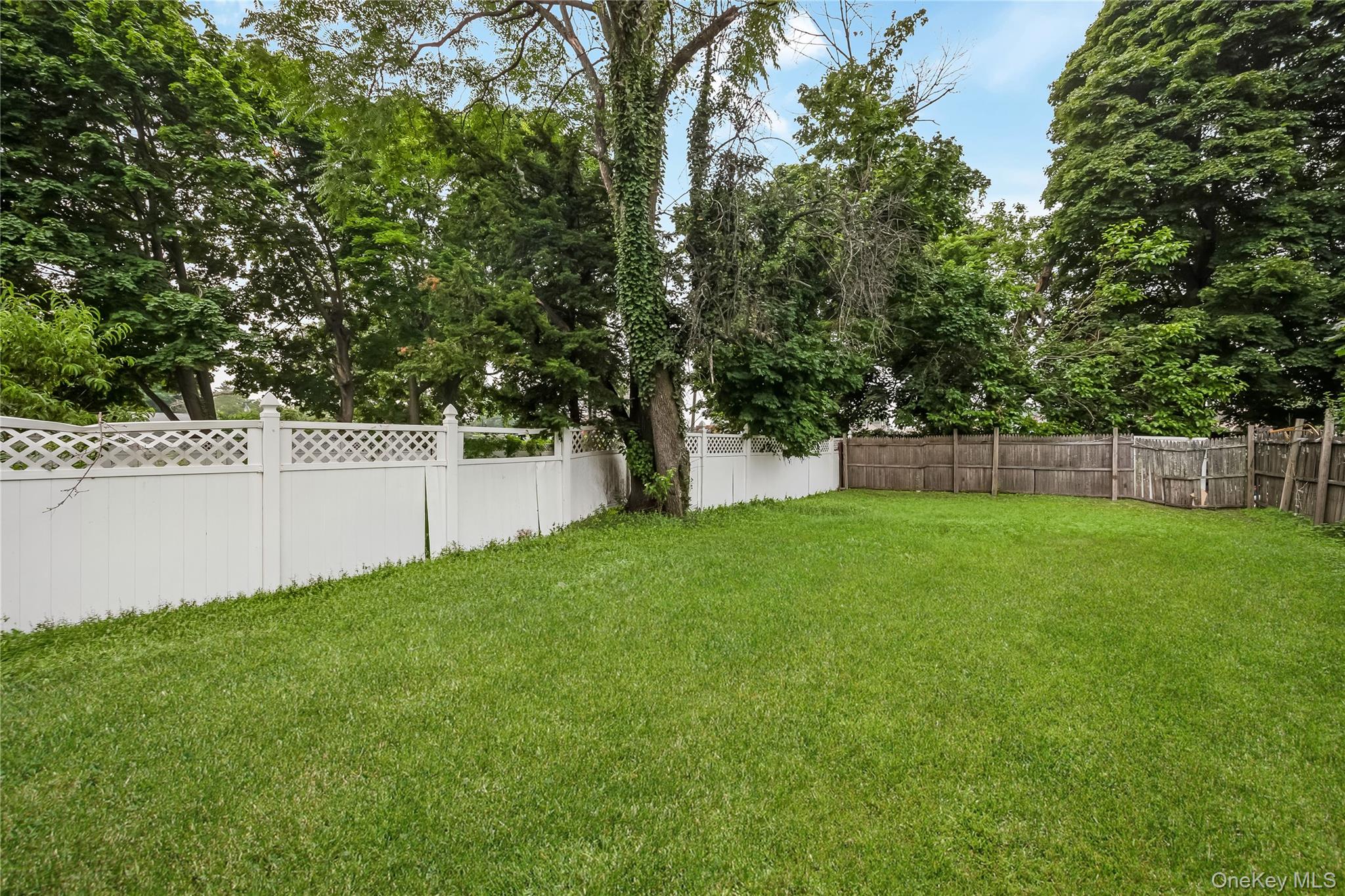 51 Peters Avenue – For Sale photo 36