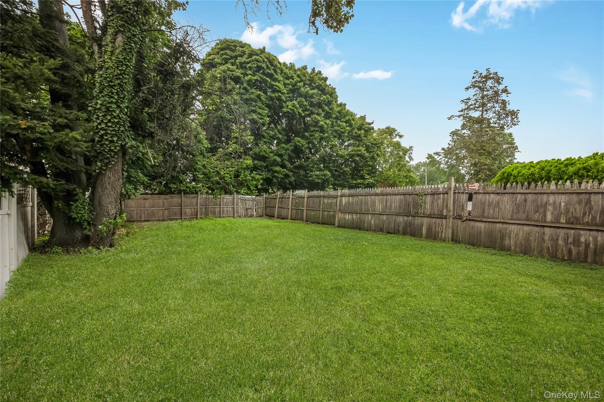 51 Peters Avenue – For Sale photo 34