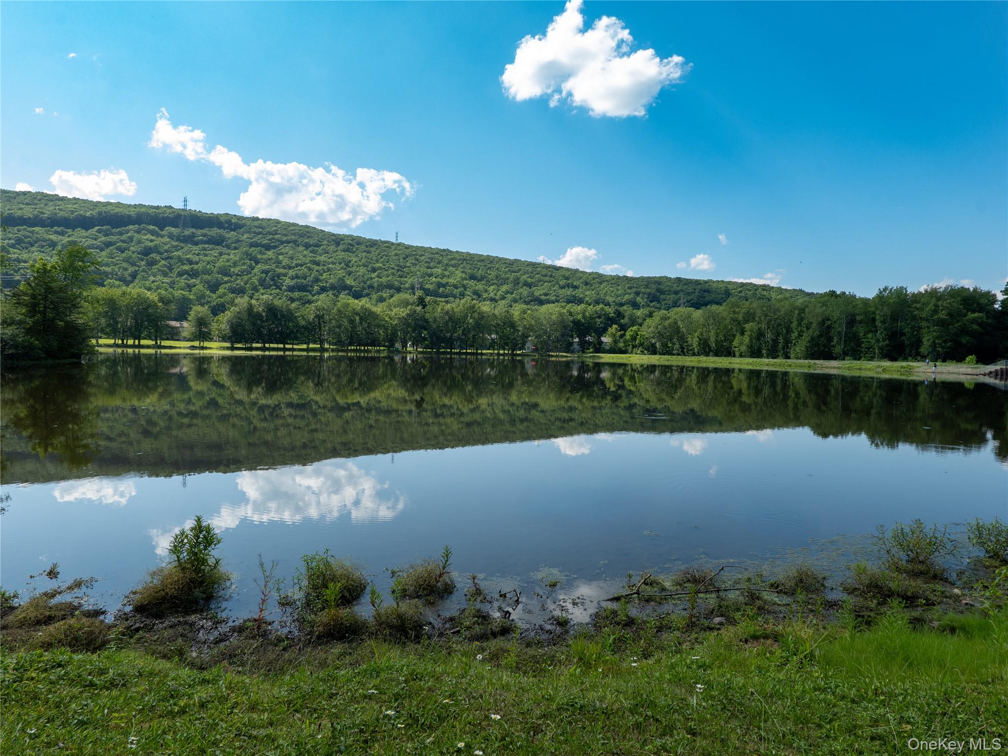 402 Mountain Laurel Dr. – For Sale photo 27