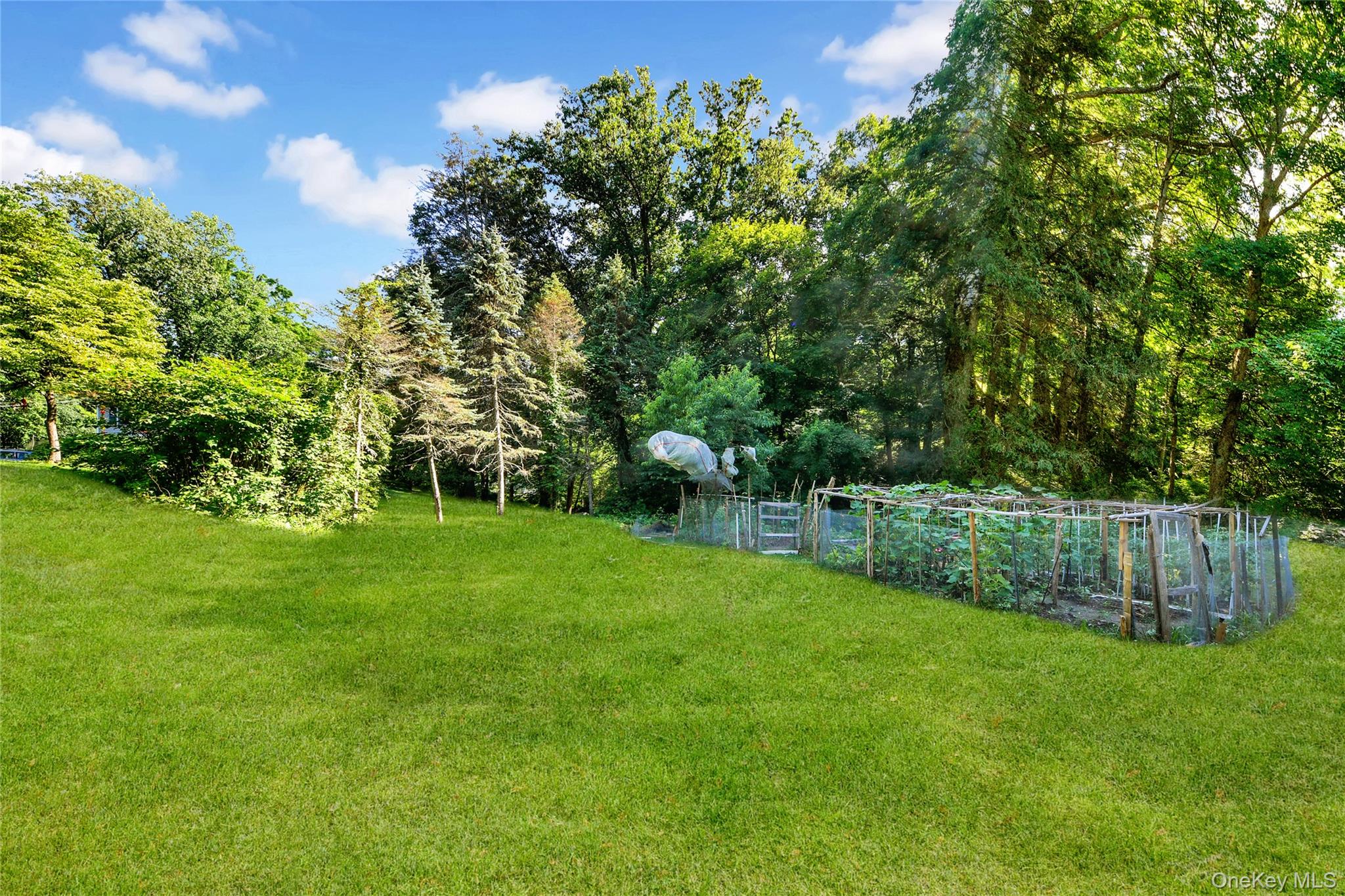 435 Birdsall Drive – For Sale photo 29