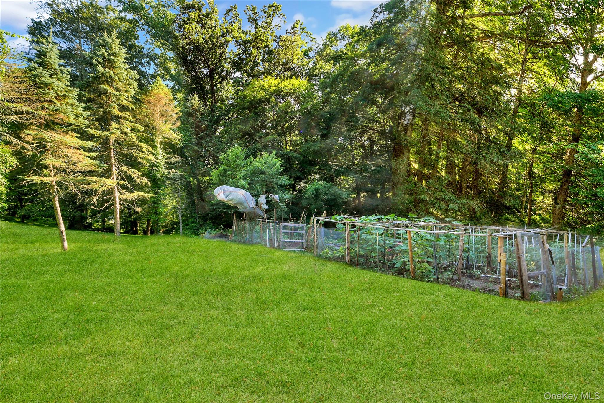 435 Birdsall Drive – For Sale photo 32