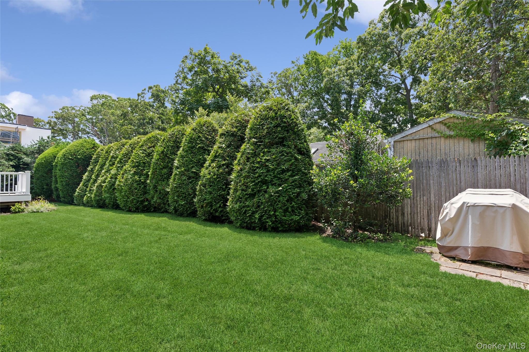33 Bay Avenue – For Rent photo 5