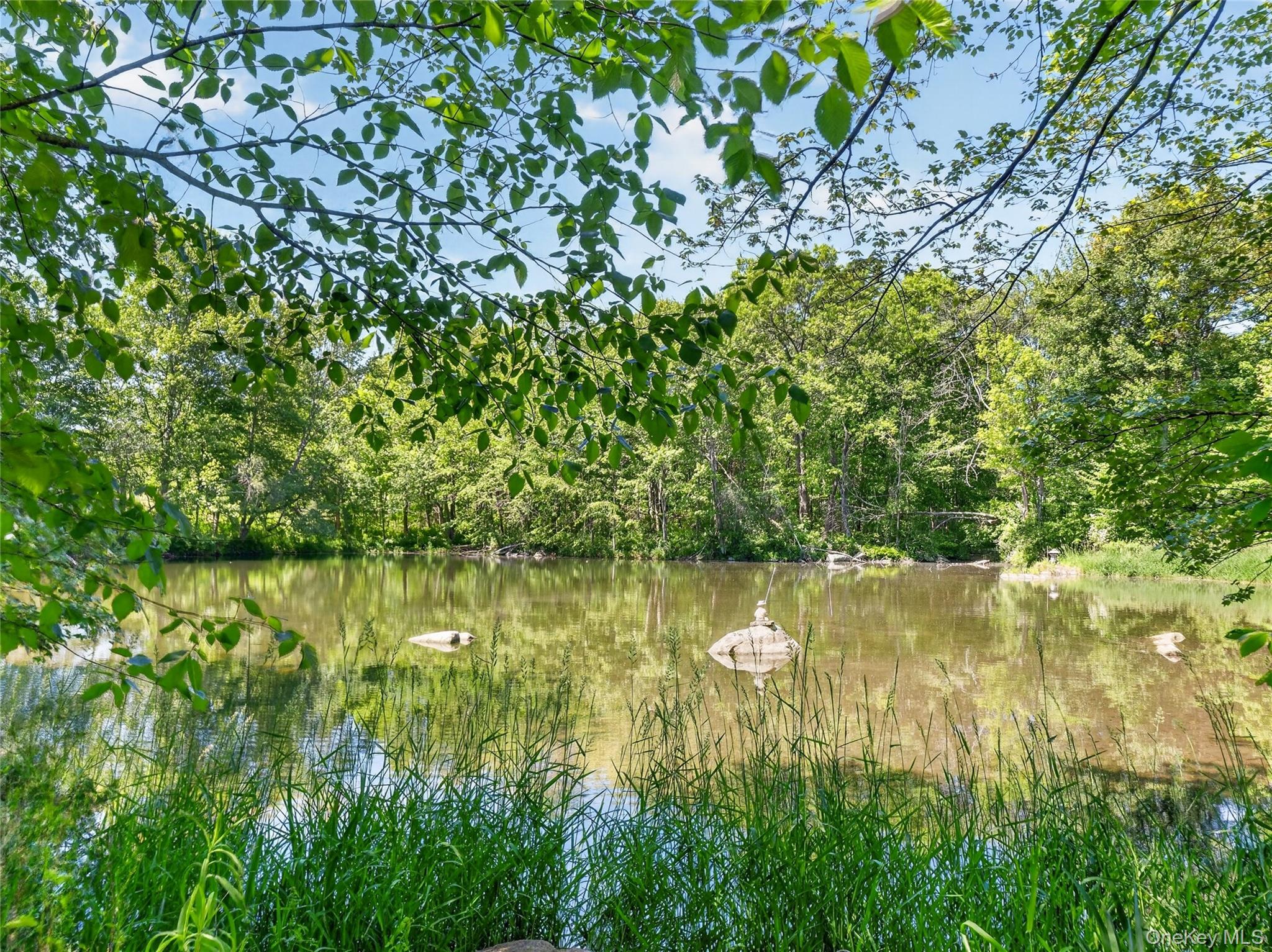 433 Barrett Hill Road – For Sale photo 38
