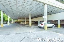 233 E Shore Road, Unit 204 photo 4