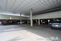 233 E Shore Road, Unit 204 photo 3