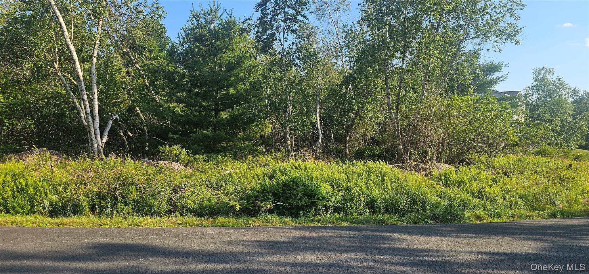 Club Lane – For Sale photo 2