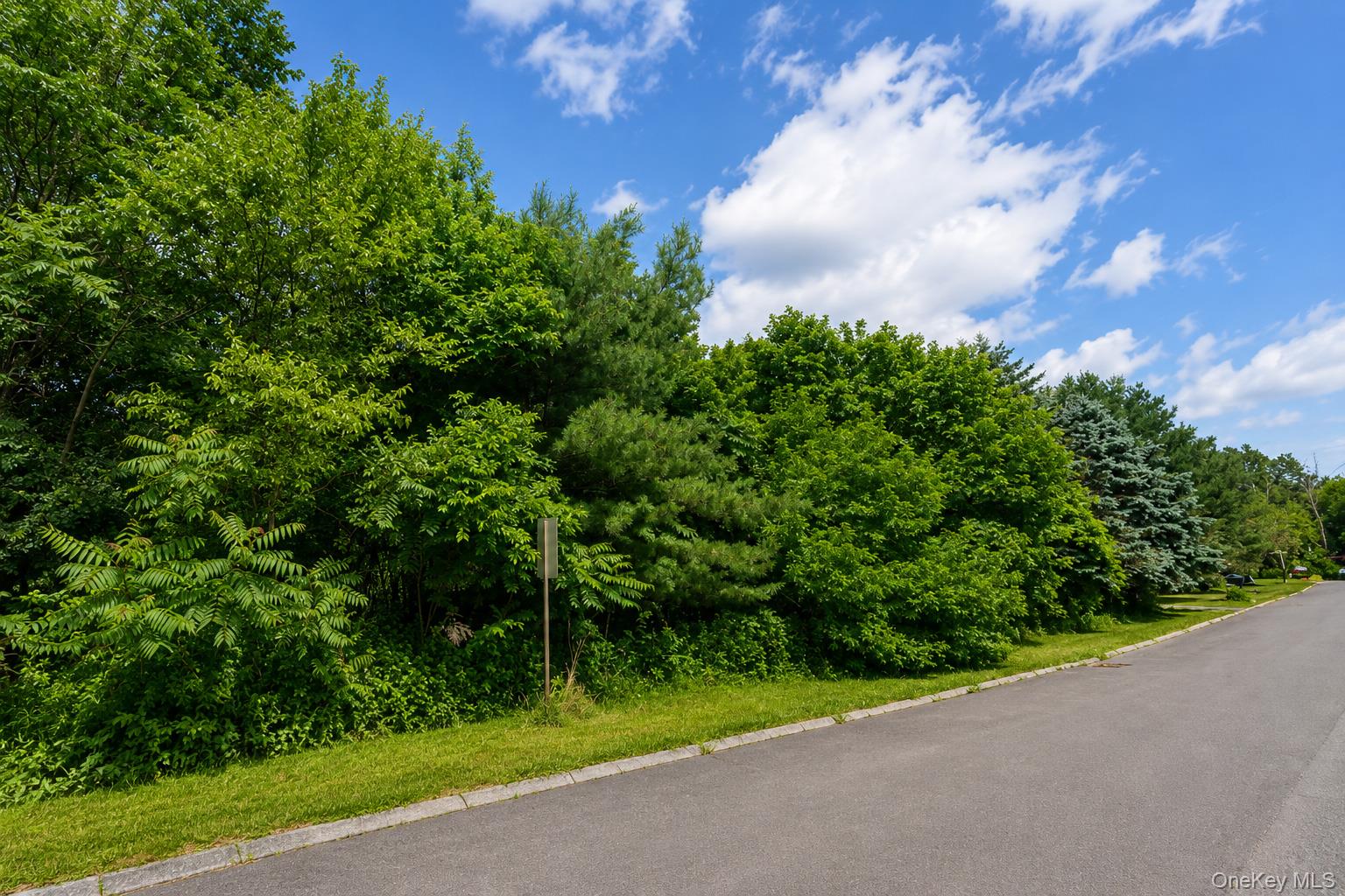 Patricia Drive – For Sale photo 6