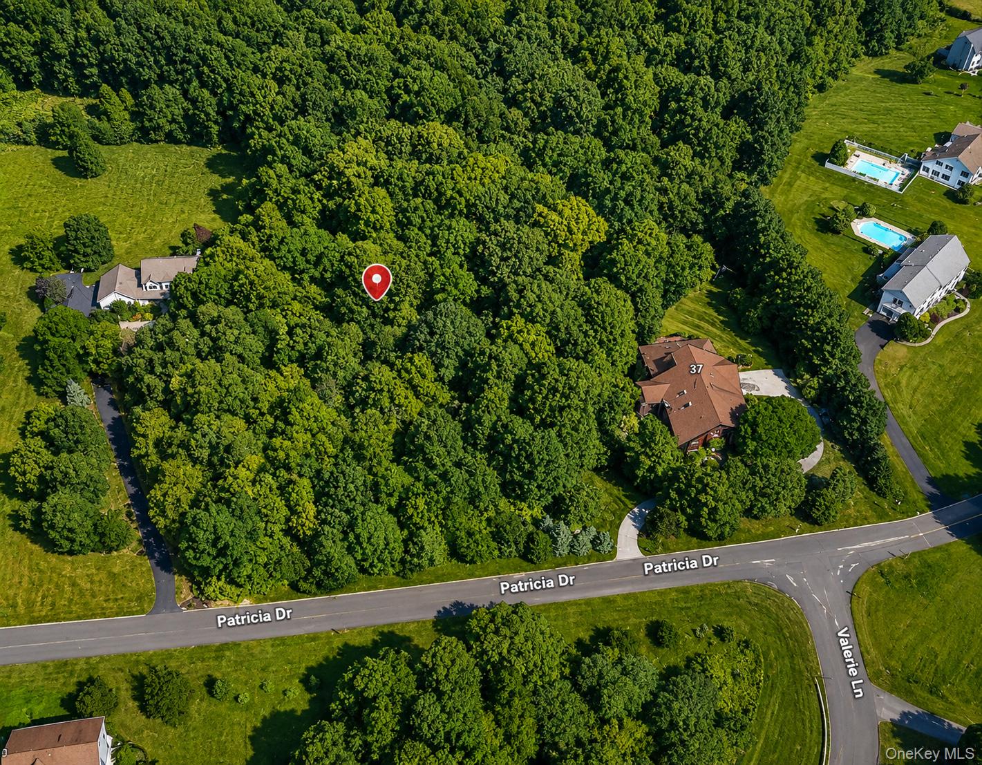 Patricia Drive – For Sale photo 2
