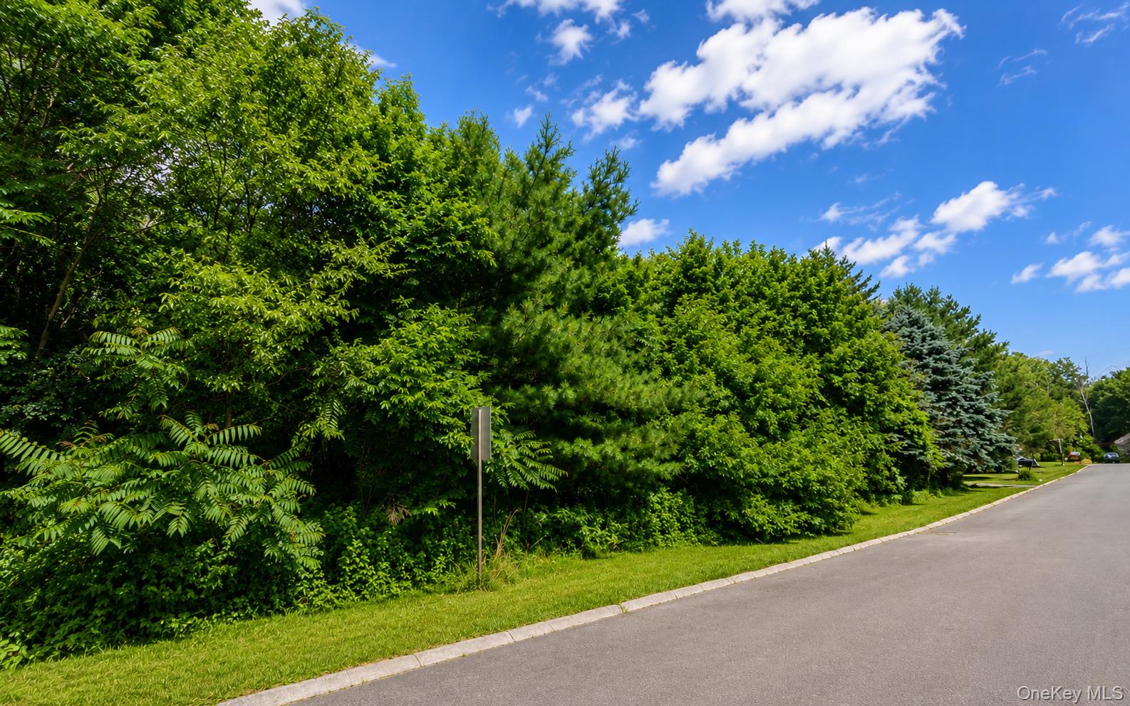 Patricia Drive – For Sale photo 5