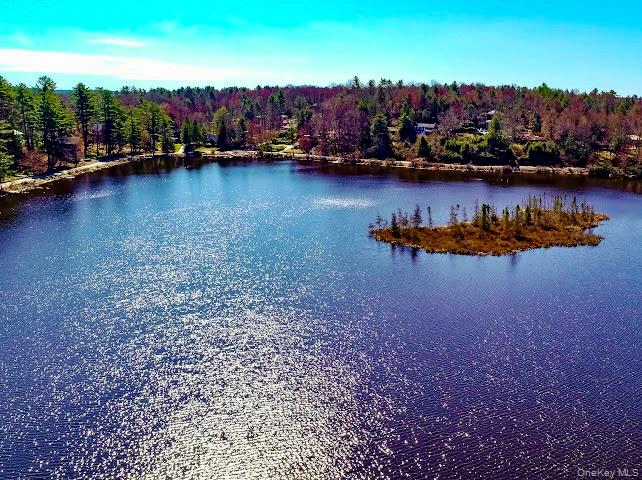 5 Liberty Place N – For Sale photo 35
