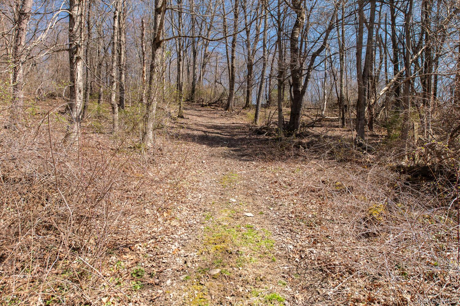 394 Smith Road – For Sale photo 39