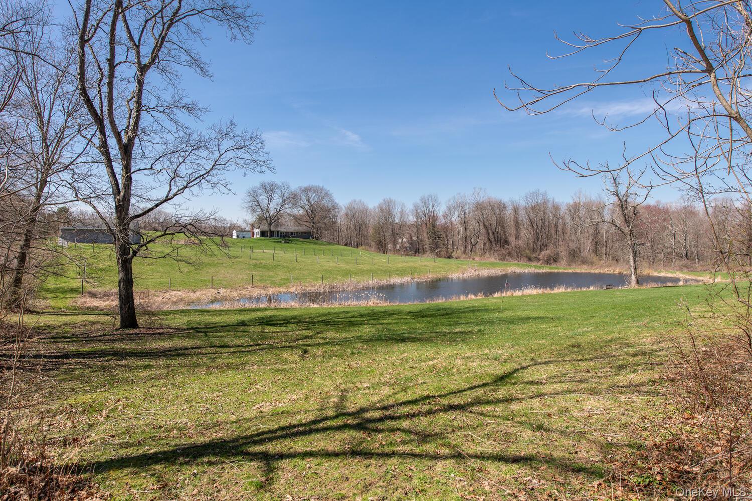 394 Smith Road – For Sale photo 45