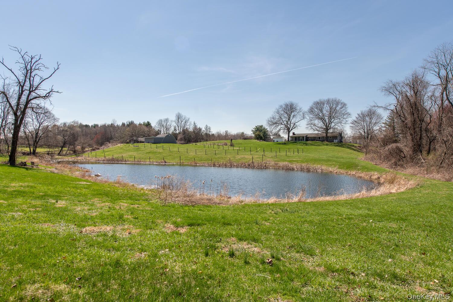 394 Smith Road – For Sale photo 41