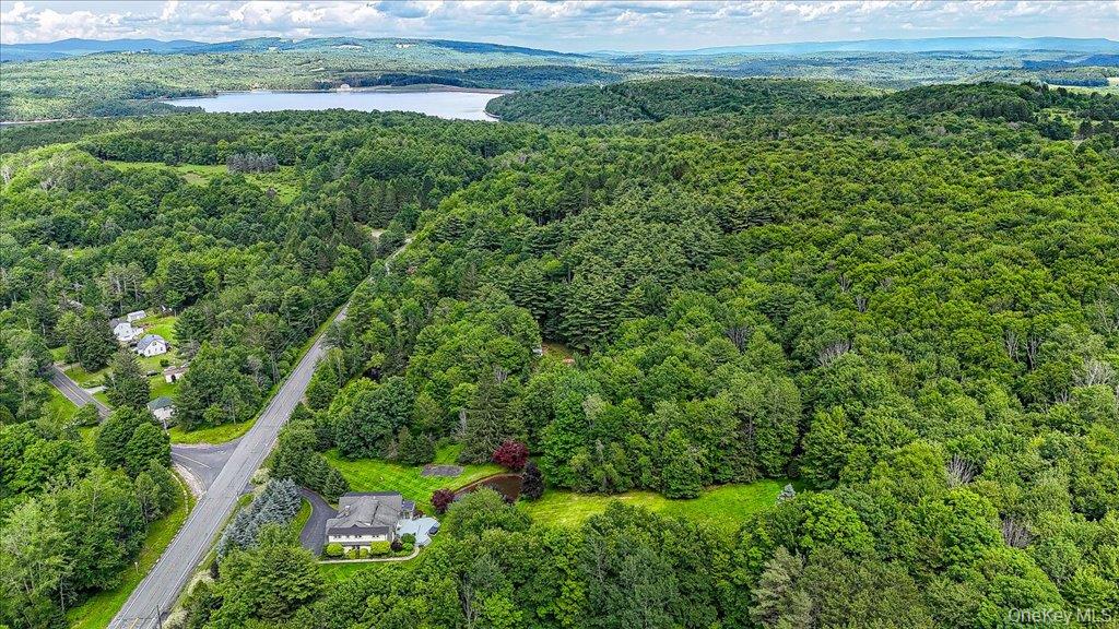6566 State Route 55 – For Sale photo 48