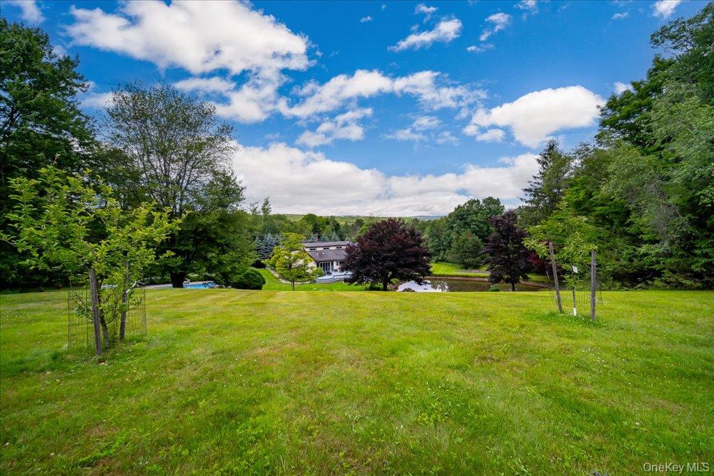 6566 State Route 55 – For Sale photo 47