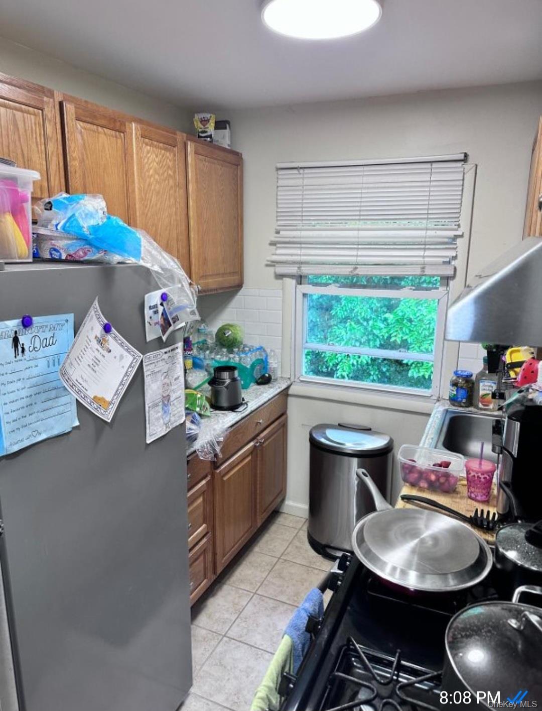1 E Hemlock Drive, Unit #162 photo 4