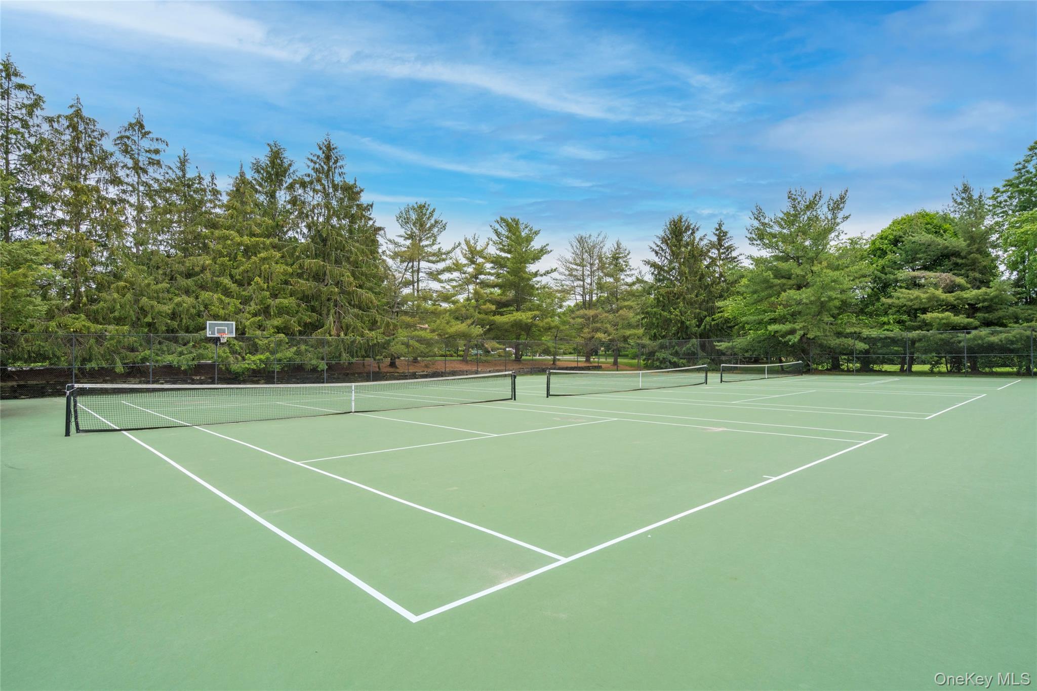 323 Baltustrol Circle – For Sale photo 48