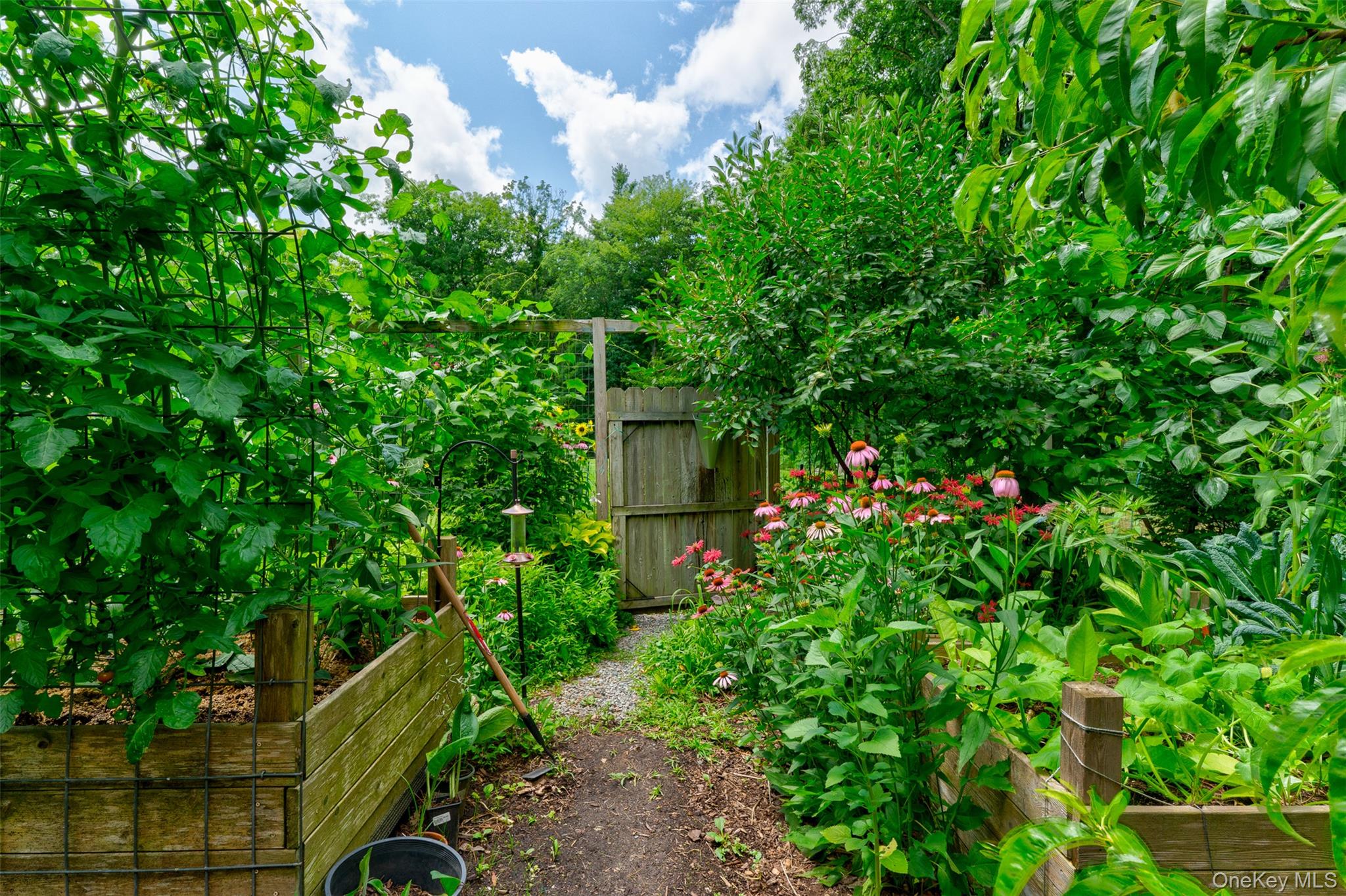 116 Francis Drive – For Sale photo 37