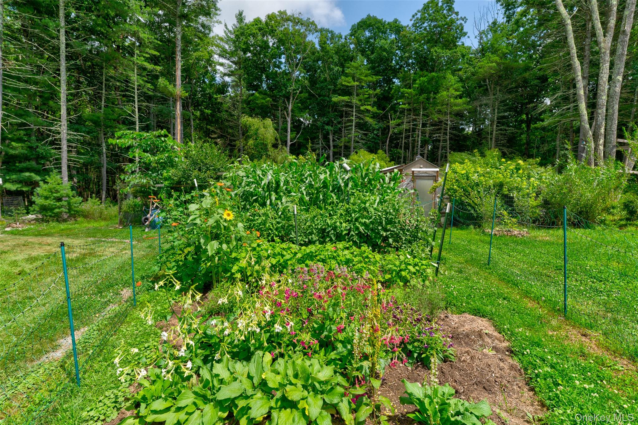 116 Francis Drive – For Sale photo 35