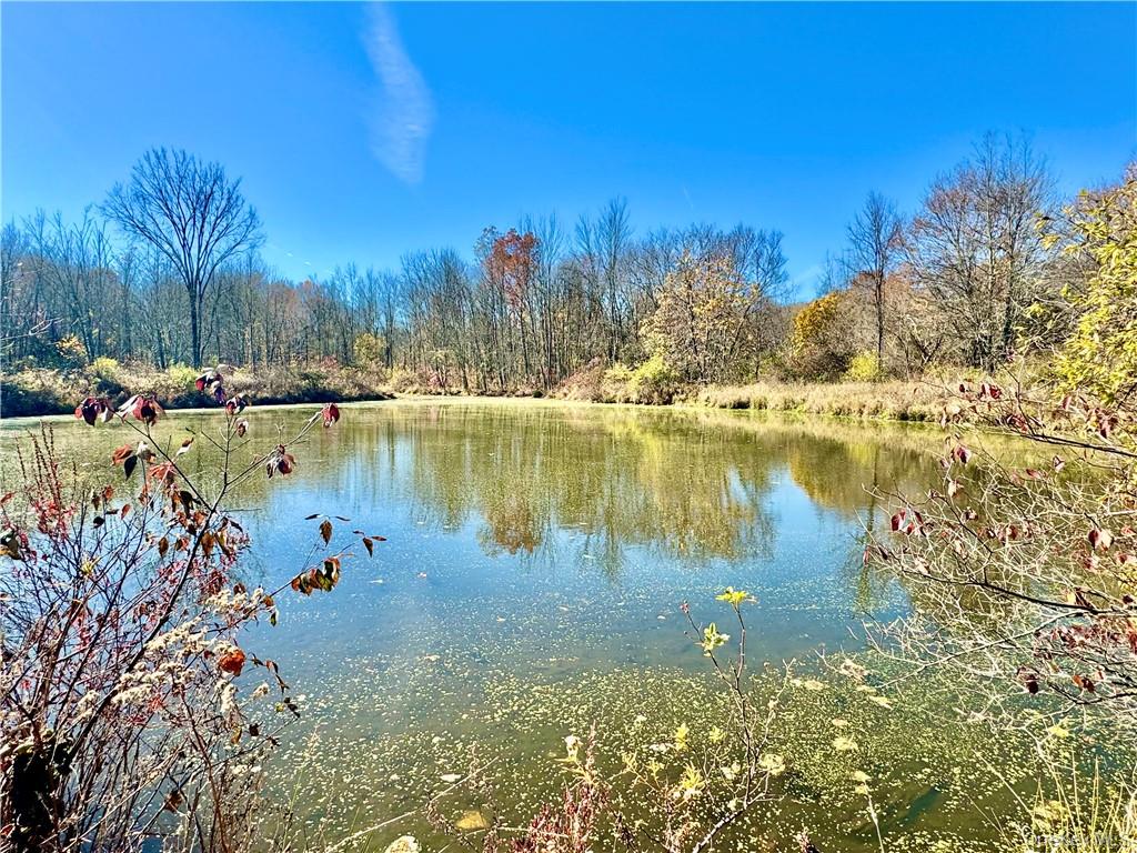 255 Howells Road – For Sale photo 7